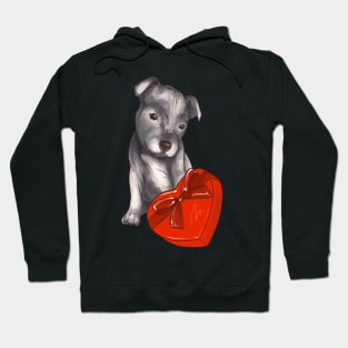 Adorable puppy Hoodie